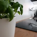 Tiburtina Terrace - Apartment Rome