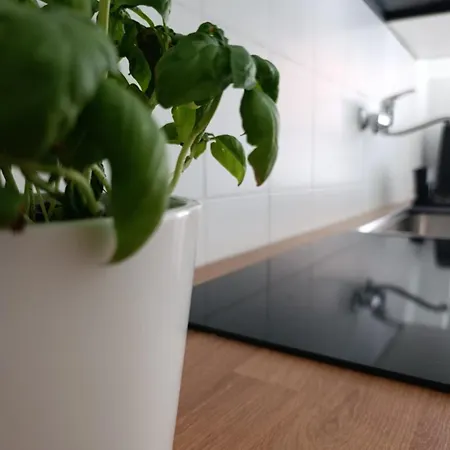 Tiburtina Terrace - شقة روما